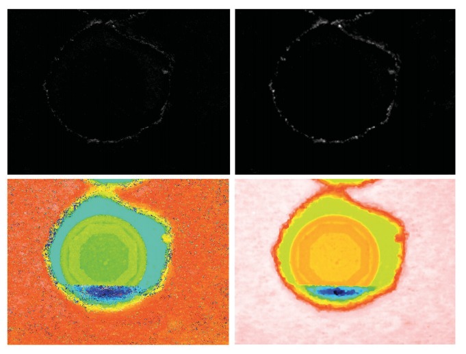 three-dimensional-measurements-with-a-novel-technique-combination-of-confocal-and-focus-variation-with-a-simultaneous-scan_3 three-dimensional-measurements-with-a-novel-technique-combination-of-confocal-and-focus-variation-with-a-simultaneous-scan_3