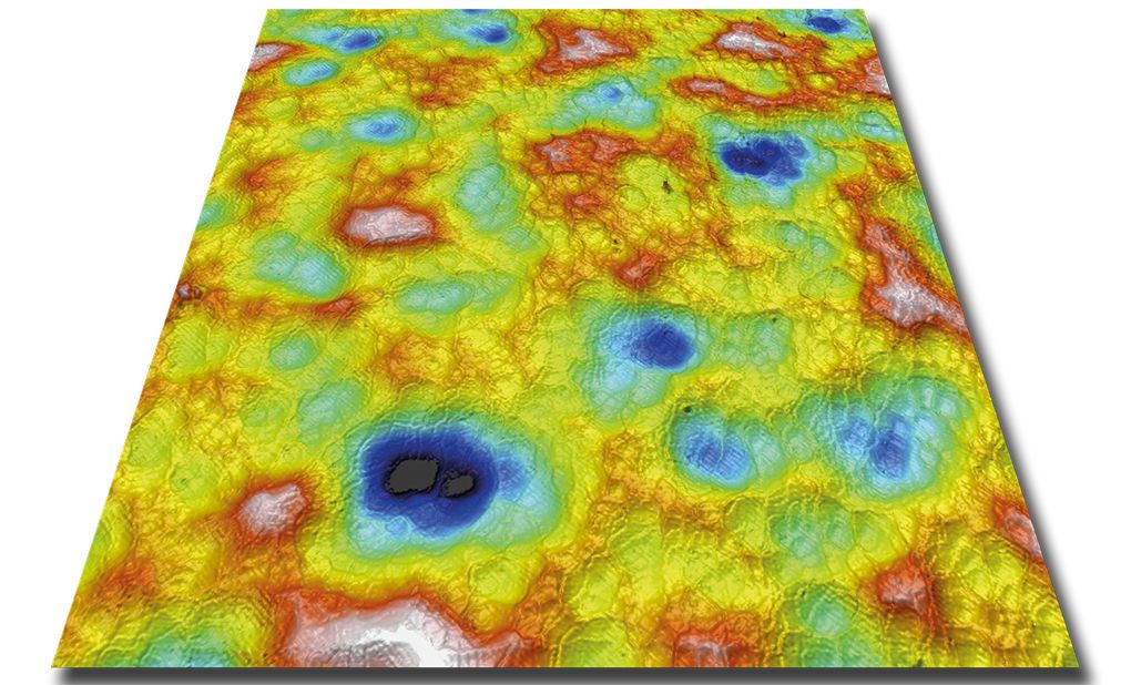 Example of an image taken using Confocal