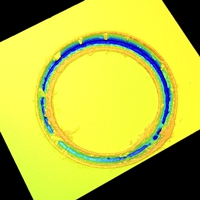 CIRCLE MARK