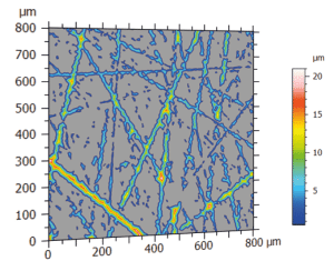 Fiber Analysis