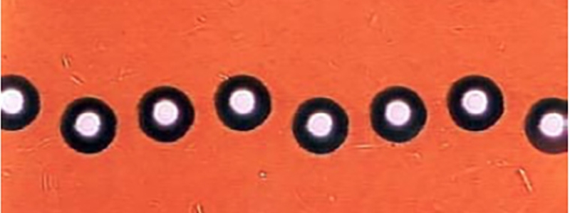 3D shape and texture measurements on the micro and nano-scales using a new dual-technology optical sensor head