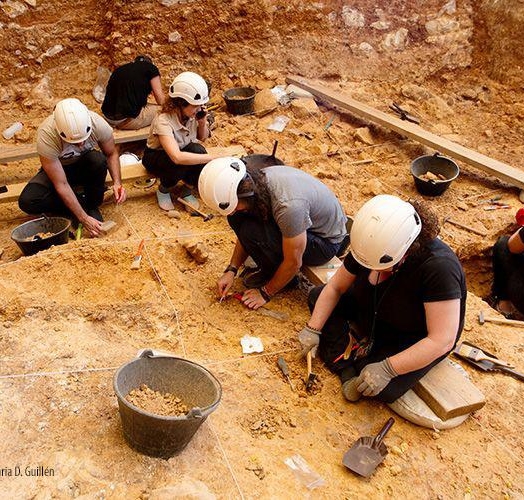 光学轮廓测量在法医埋葬学中的应用：在考古环境中研究食人行为和人际暴力事件