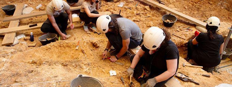 Optical profilometry in forensic taphonomy: studying cannibalism and interpersonal violence in archaeological contexts