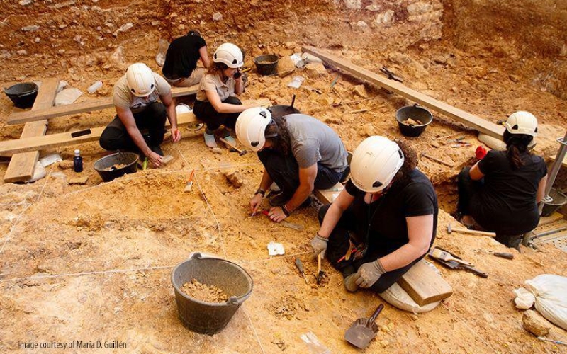 Optical profilometry in forensic taphonomy: studying cannibalism and interpersonal violence in archaeological contexts