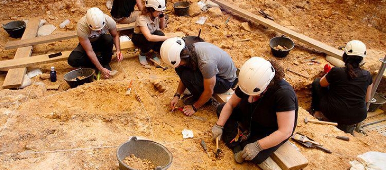 Optical profilometry in forensic taphonomy: studying cannibalism and interpersonal violence in archaeological contexts