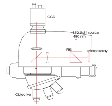 Dual-technology optical sensor head for 3D surface shape measurements on the micro and nano-scales