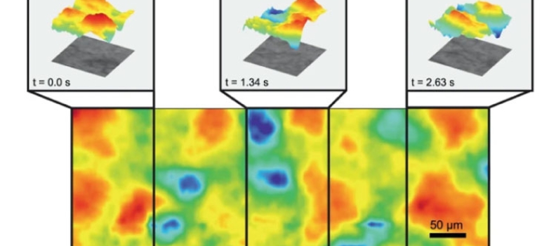 Fast topographic optical imaging using encoded search focal scan