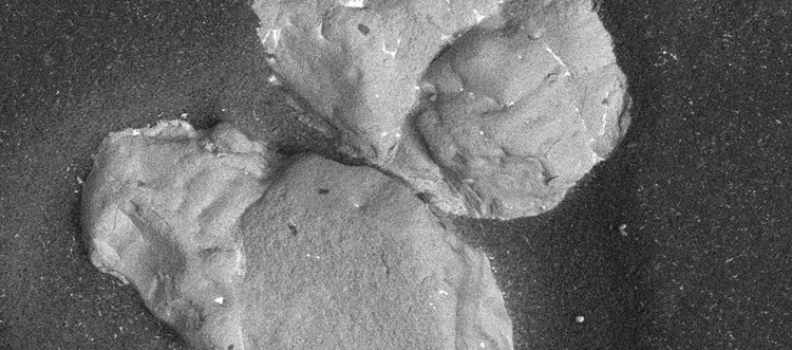 Solid Particle Erosion (SPE) of alumina ceramic, epoxy resin, and polymer composites: material removal mechanisms and erosion rate