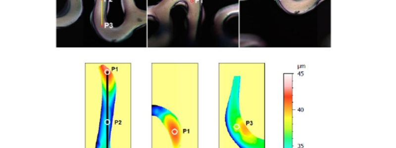 Optical stent inspection of surface texture and coating thickness