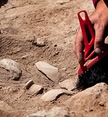 Archäologie und Paläontologie