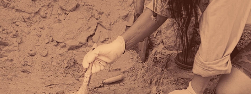 Warum ist ein optisches Profilometer für Paläontologie und Archäologie wichtig?
