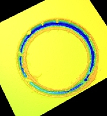 CIRCLE MARK