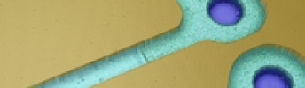 CIRCLE PAD CONCENTRICITY